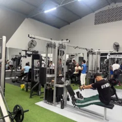 MT Gym