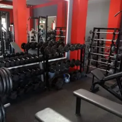 Olympus Gym