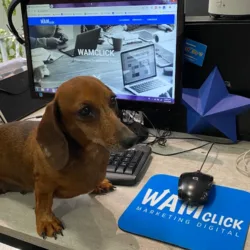 WAMclick Marketing Digital