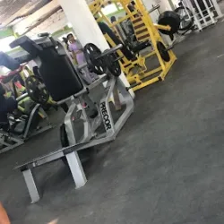 Pitbull Gym