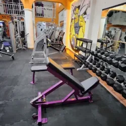 Avispón Gym