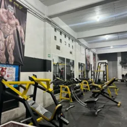Gimnasio los muñecos