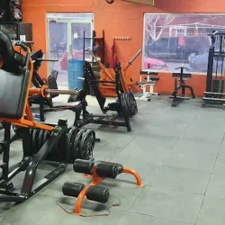 Insane fitnes gym