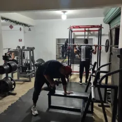 Gym gorila