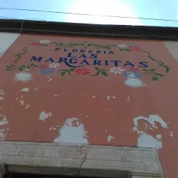 FLORERIA LAS MARGARITAS c 29a # 302 X 26 Centro de Motul
