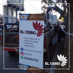 El ceibo - Podas y desmontes