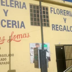 PAPELERÍA Y MERCERIA Las Lomas