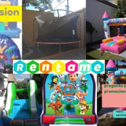 brincomania th