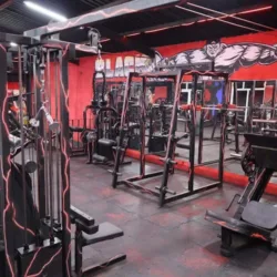 GYM BLACK KING