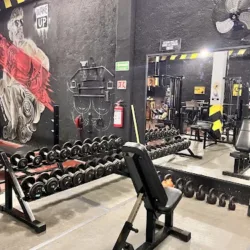 WAKE UP FITNESS