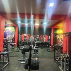 Reptil físic gym