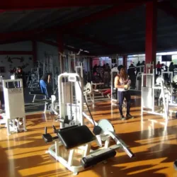 Workout