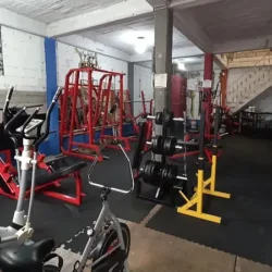 The Lions MMA Fighter's Gym