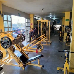 new BODY GYM