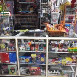 Papeleria