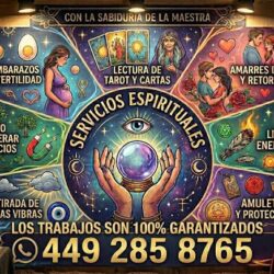La casa del Tarot
