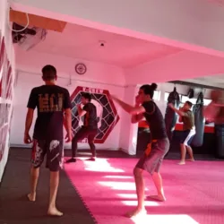 Vcrew MMA