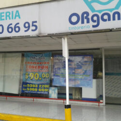 Organik