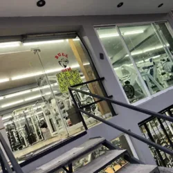 BULL GYM