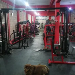IMPERIAL GYM