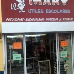 PAPELERÍA Y MERCERIA MARY