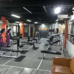 PIMPON NUTRITION & GYM