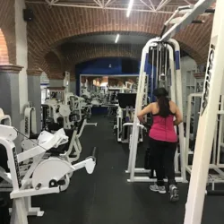 Wolf Gym