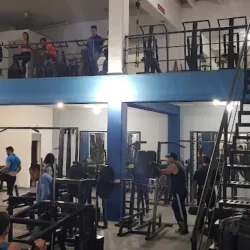 Gym Joe Sport