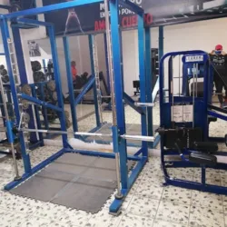 Evolution Gym