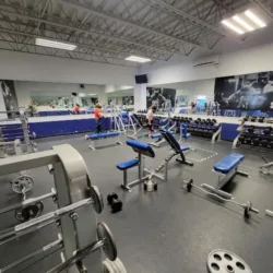 Junior's Gym