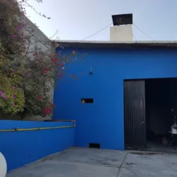 Crematorio para Mascotas Paraíso