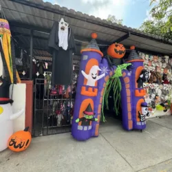 La Casa del Disfraz Tampico "Bazar Mimi Disfraces"