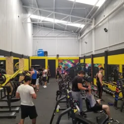 GIMNASIO LIVE FIT SAN MIGUEL