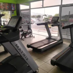 Arnold Gym Manzanillo