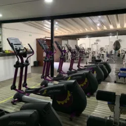 Vive Fitness Gym