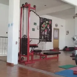 David's GYM multifuncional