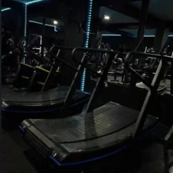 Mr Gym