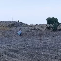 Papeleria Ximena