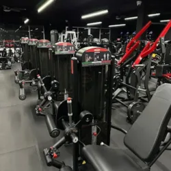 New Era Gym Tijuana