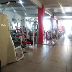Elite Gym