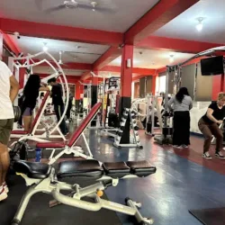 LION FORCE GYM