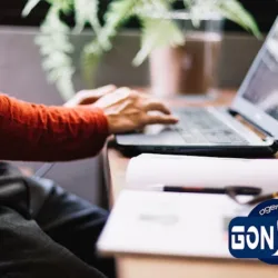 GonSeo Agencia - DISEÑO WEB - Marketing Digital - SEO