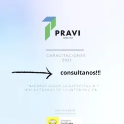 Consultora Pravi