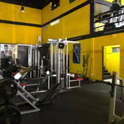 Gym Force Zone