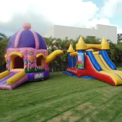 ludoparty