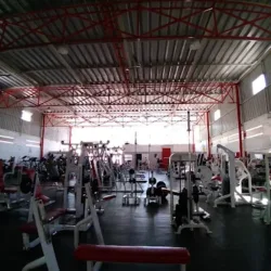 Lions Gym Autlan