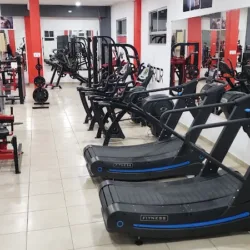 warrior fitness gym