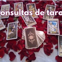 Consultas de Tarot