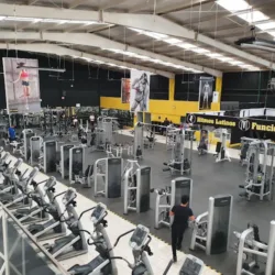 Fit Club