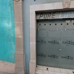 Pure Life Gym